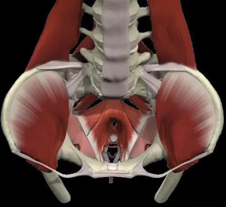 Screenshot 2023-12-06 at 9.46.45 AM